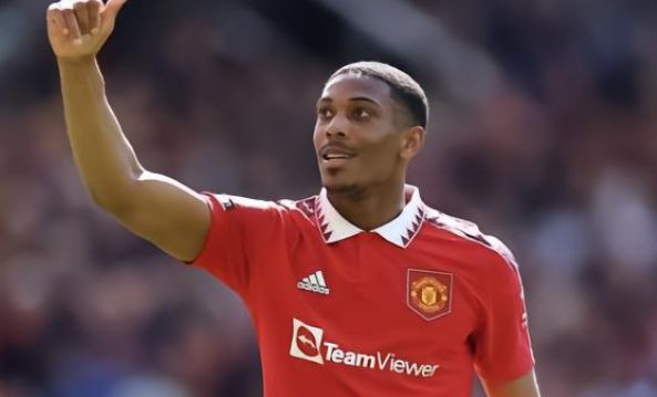 芒的高度信 芒的高度信